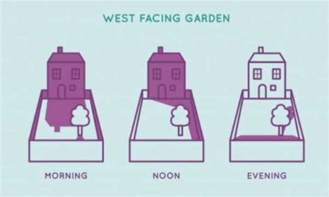 North West South East Facing Garden Explained Artofit