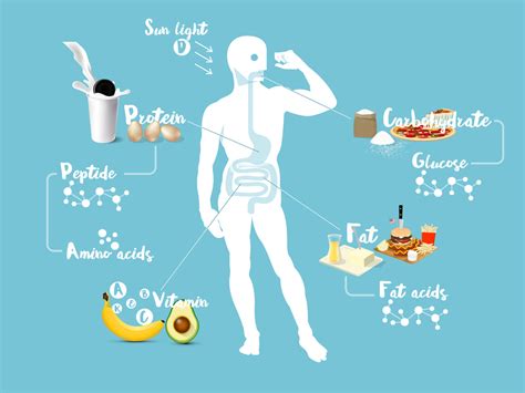 The Benefits of Digestive Plant Enzymes – DrFormulas