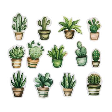 Cactus And Succulent Journal Sticker Set Journal Cactus Nature PNG