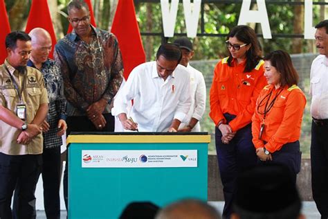 Jokowi Sambut Baik Kerja Sama Vale Indonesia Dengan Ford Dan Huayou