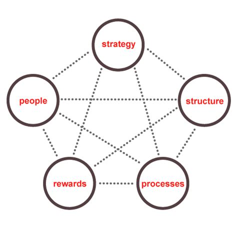 The Star Model of Organizational Alignment - Harvest Group