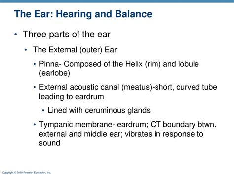 Ppt The Ear Hearing And Balance Powerpoint Presentation Free