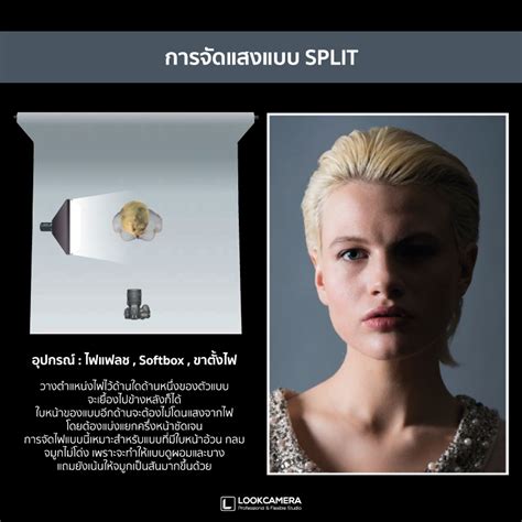 Lookcamera อุปกรณ์สตูดิโอถ่ายภาพ ถ่ายวีดีโอ ชุดไฟสตูดิโอคุณภาพ ฉากหลัง