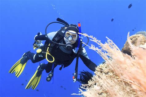 Tauchen So Bereiten Sie Sich Auf Die Unterwasserwelt Vor Derwesten De