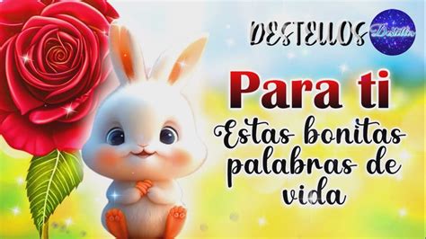 Para Ti Estas Bonitas Palabras De VidaHermosas Frases Positivas Con