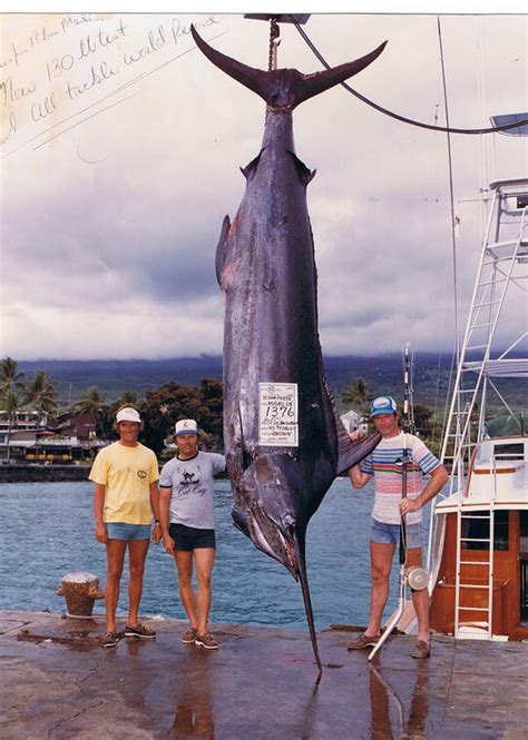 Huge Marlin Fish