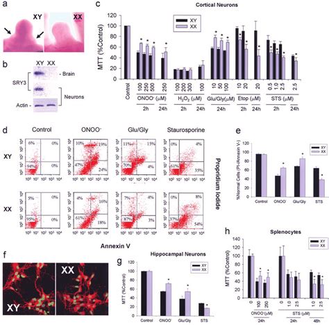 Gender Segregation And Proclivity In Response To Cytotoxicity A