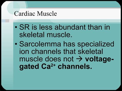 Cardiac muscle | PPT