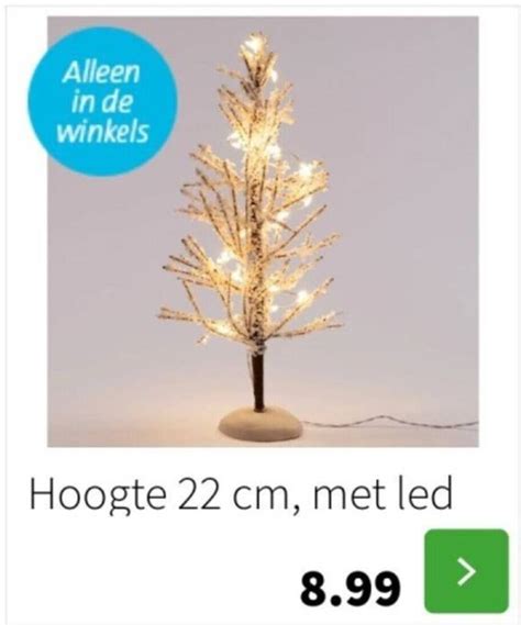 Boom Met Lampjes Hoogte Cm Met Led Aanbieding Bij Intratuin