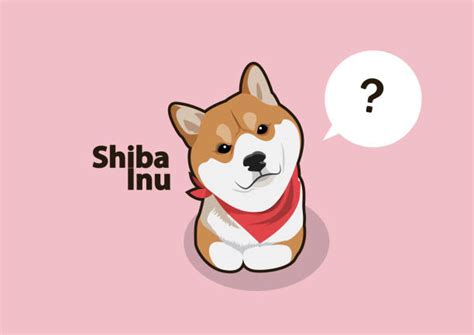 4400 Shiba Inu Hình Minh Họa Đồ Họa Vectơ Trả Phí Bản Quyền Một Lần