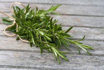 What Varieties of Rosemary Are Safe to Eat? | Home Guides | SF Gate