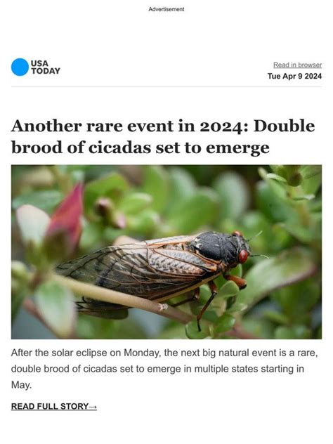 Usa Today Top Stories Double Brood Cicadas After Eclipse Comes An