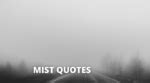 65 Mist Quotes On Success In Life OverallMotivation