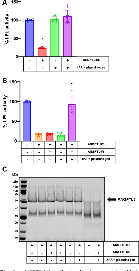 Figure 1 From Decoding The Role Of Angiopoietin Like Protein 4 8