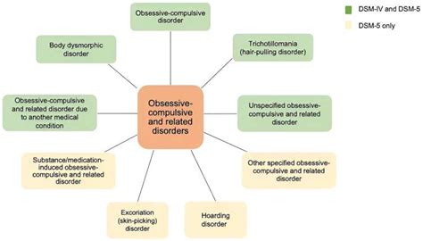 New Insights Into Obsessive Compulsive Disorder Understanding The Role