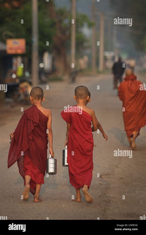 Novice Buddhist Monks Collecting Alms At Dawn Hsipaw Shan States