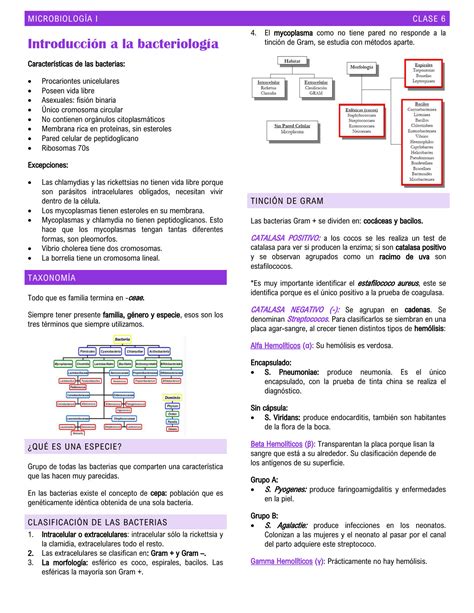 Solution Introducción A La Bacteriología Microbiología Studypool