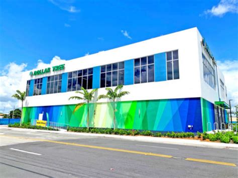 Dollar Tree Vivamas Coral Rock Development