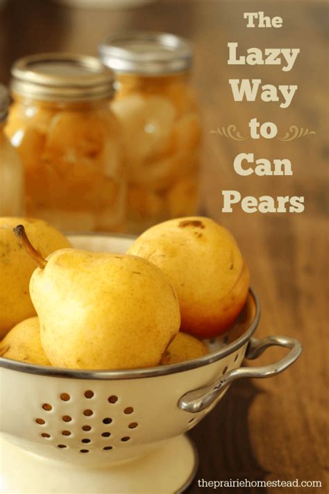 How To Can Pears Without Sugar The Prairie Homestead Recipe