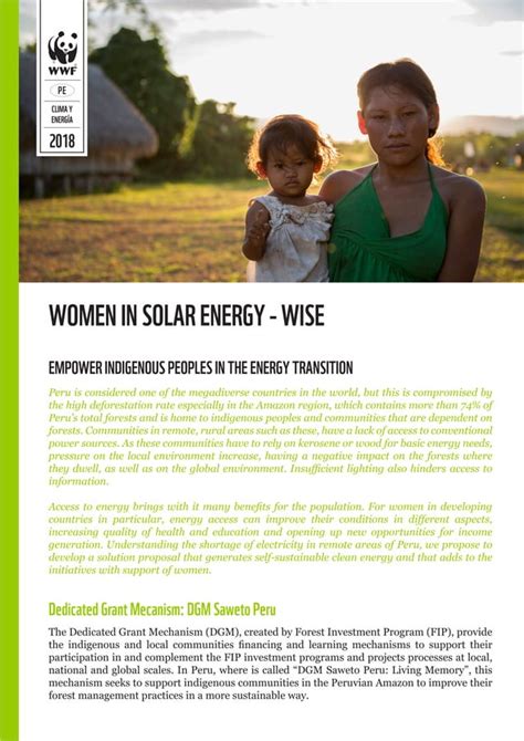 Brochure Women In Solar Energy Wise Pdf