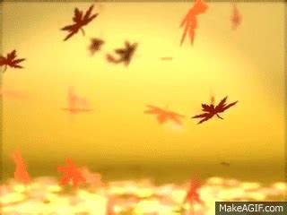 Animated Gif Falling Leaves Gif Transparent Background : GC67TJ0 ...