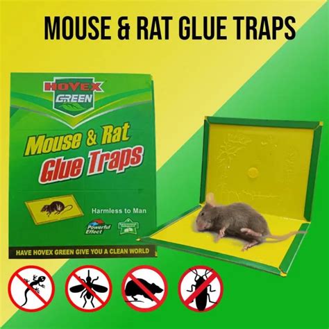 Mouse Rat Glue Trap Rodent Rat Glue Sticker Mice Board Insect Baits Lazada Ph