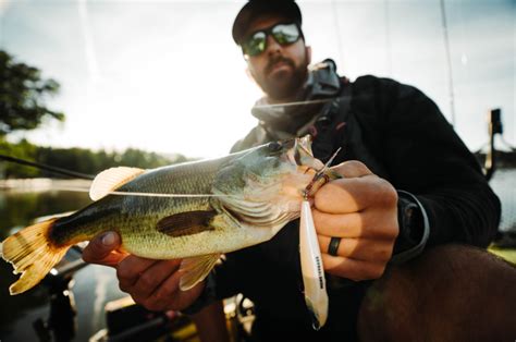 The Best Summer Bass Lures From Monsterbass