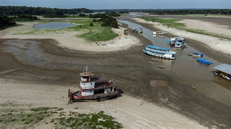 Amazon River S Drought Like Condition Indo Pacific Times