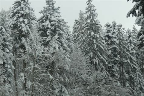 Jura Des Coul Es De Neige Attendues En Montagne Ce Qu Il Faut Savoir