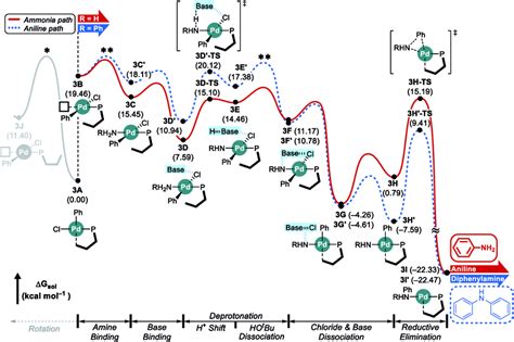 Dft Calculated Energy Profile For Pd Catalyzed N Arylation With L