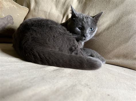 2 Dog Hotel – Dog Boarding in Sperryville, Virginia