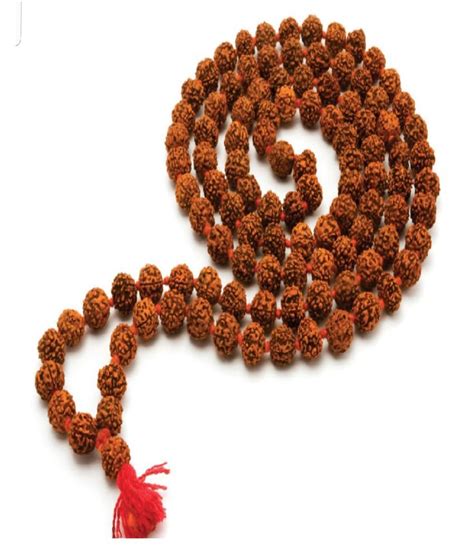 Kundli Gems Lab Certified 5 Mukhi Rudraksha Mala For Men Women Wearing