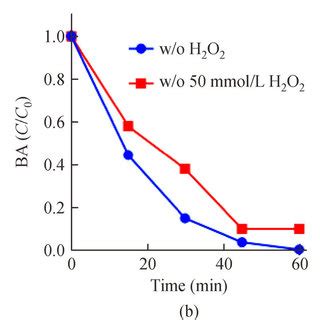 Formation Of Trichloromethane And Trichloroacetic Acid In The