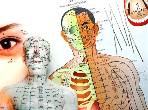 Acupuncture Point Combinations — Morningside Acupuncture Nyc