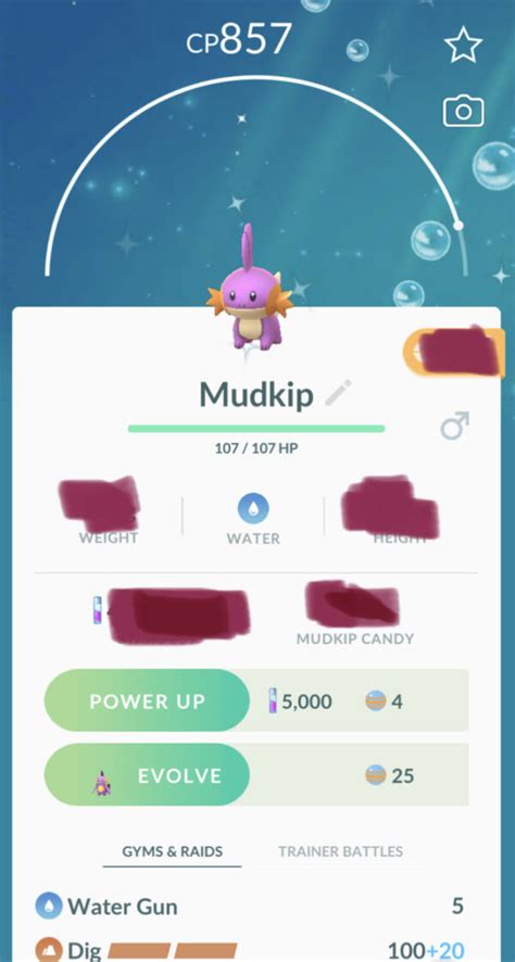 Shiny Mudkip Trading - POGO Trading