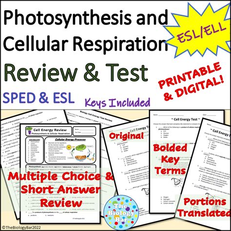 Esl Biology Photosynthesis And Cellular Respiration Review And Test