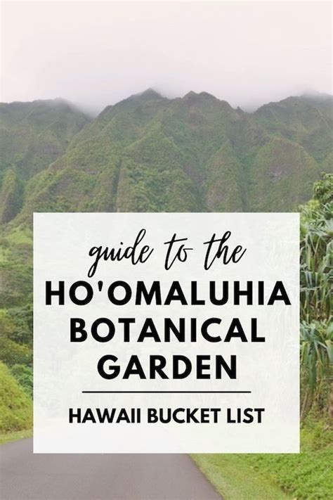 Guide To The Hoomaluhia Botanical Garden Oahu Vacation Hawaii Trip