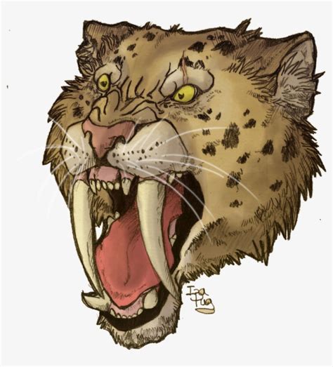 Saber Tooth Tiger Drawing - I would love to see them. - Goimages Ily