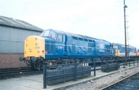 Class 37