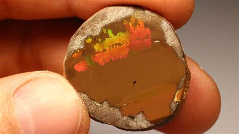 Natural Ethiopian Mezezo Shewa Polished Chocolate Opal Specimen Etsy