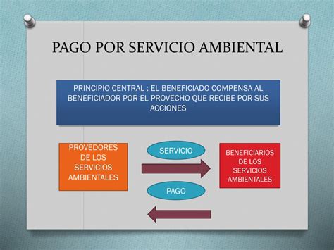 Pdf Pago Por Servicios Ambientales Ecosistemicos En Mexico Una Images