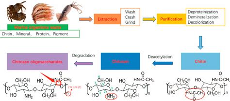 Recent Advancement Of Molecular Structure And Biomaterial Function Of