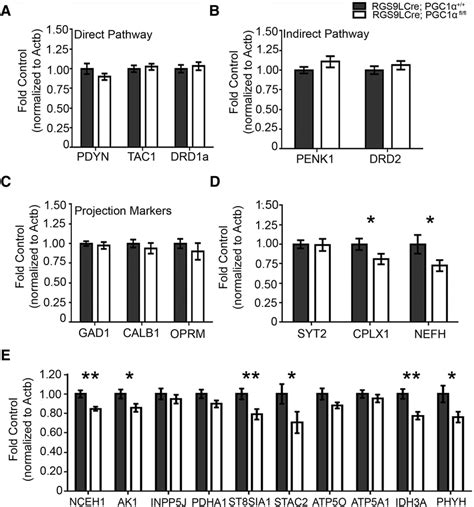 Previously Identified PGC 1 Dependent Genes Are Reduced In Conditional