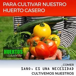 Descubre los 8 Conocimientos Básicos para Cultivar tu Propio Huerto