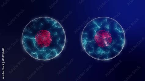 Cell Division Microbiology Background With Purple Cell Nucleus And Blue