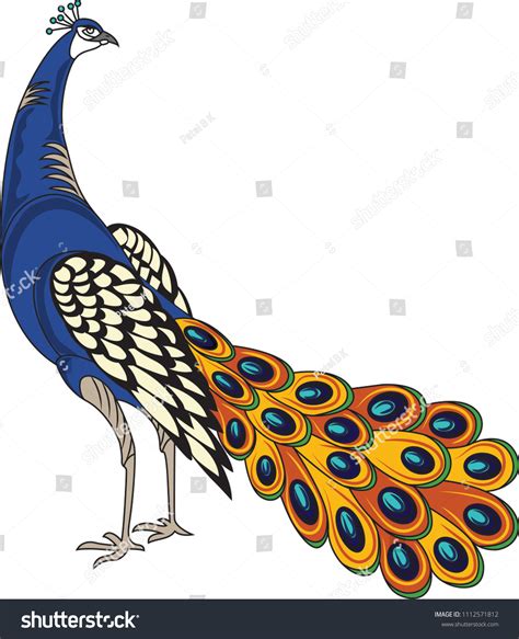 Beautiful Peacock Motif Stock Vector Royalty Free 1112571812