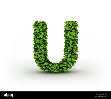 Letter U Alphabet Of Green Leaves Isolated On White Background