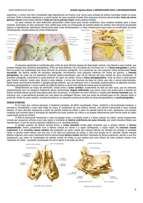 Medresumos 2016 neuroanatomia 22 ossos do crânio PDF