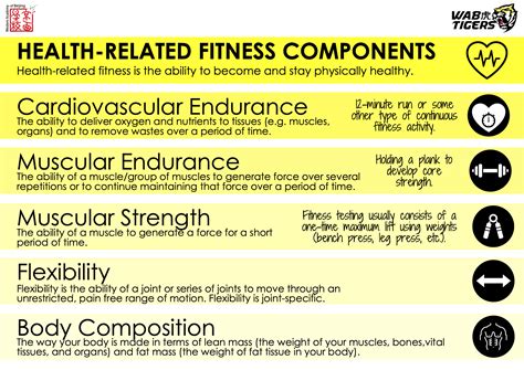fitness related health 3
