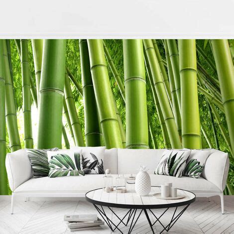 Fototapete Bambus Bamboo Trees Vliestapete Breit Gr E Hxb Cm X